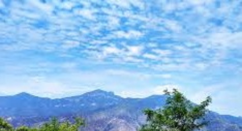 关于我们 - 色花堂地址 - 关于本站 一场创意之旅的起点